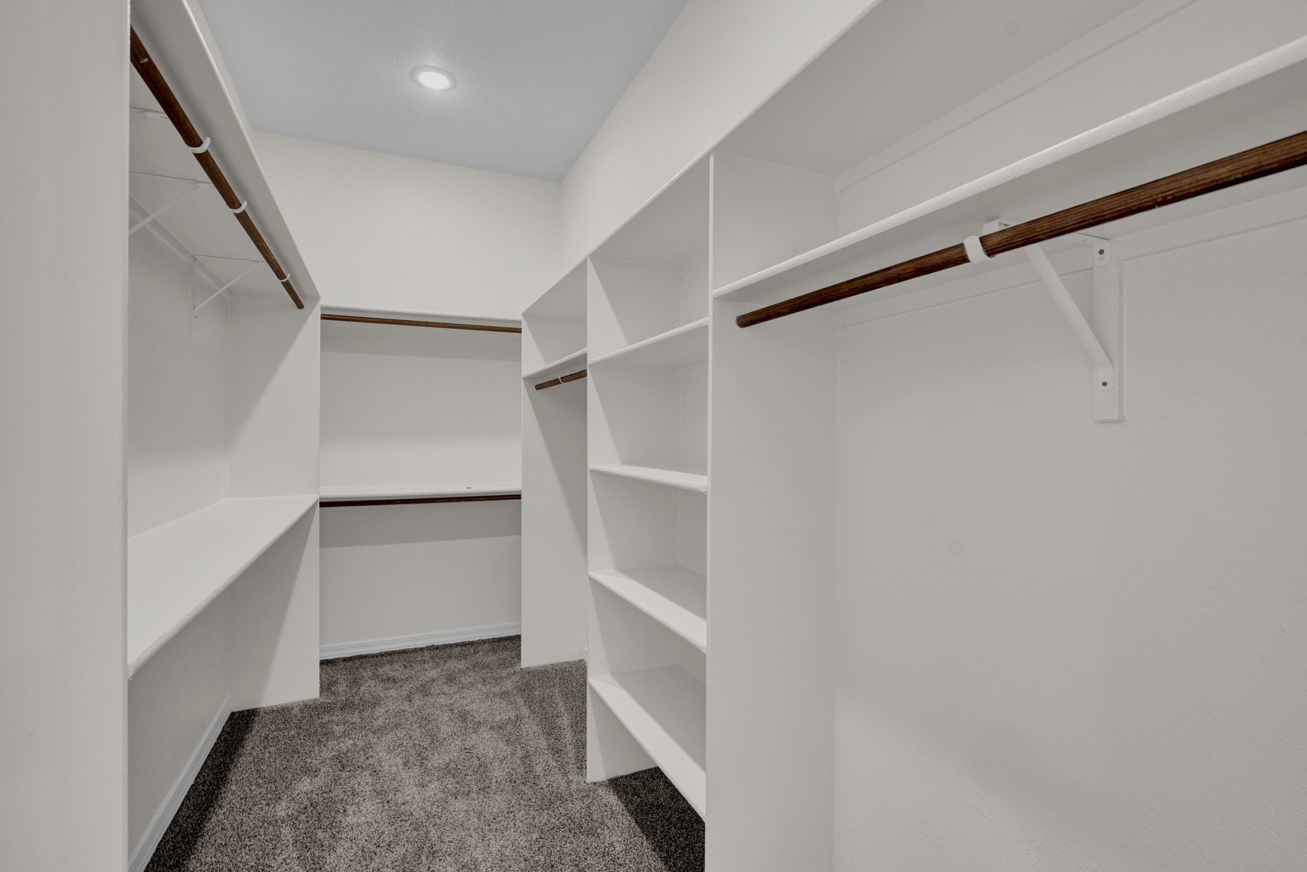 Walk-in closet in The Lavender model by Zia Homes, featuring built-in shelving, dual-level hanging rods, and plush carpet flooring.